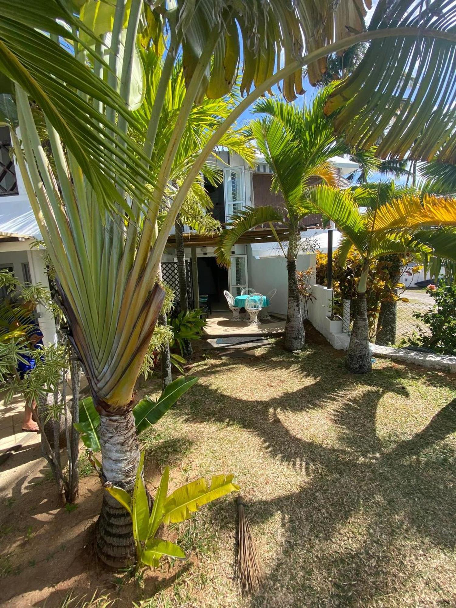 Islands View - Mazor